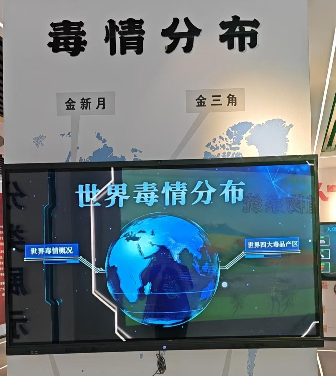 世界毒情分布查询系统
